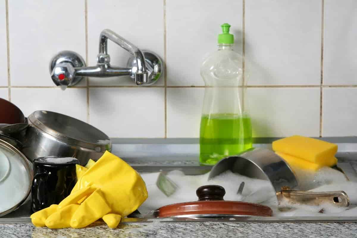  buy and price of non toxic dishwashing liquid 