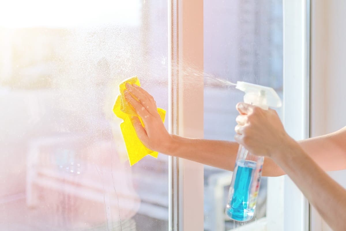  Buy Glass Cleaner Spray DIY at an Exceptional Price 