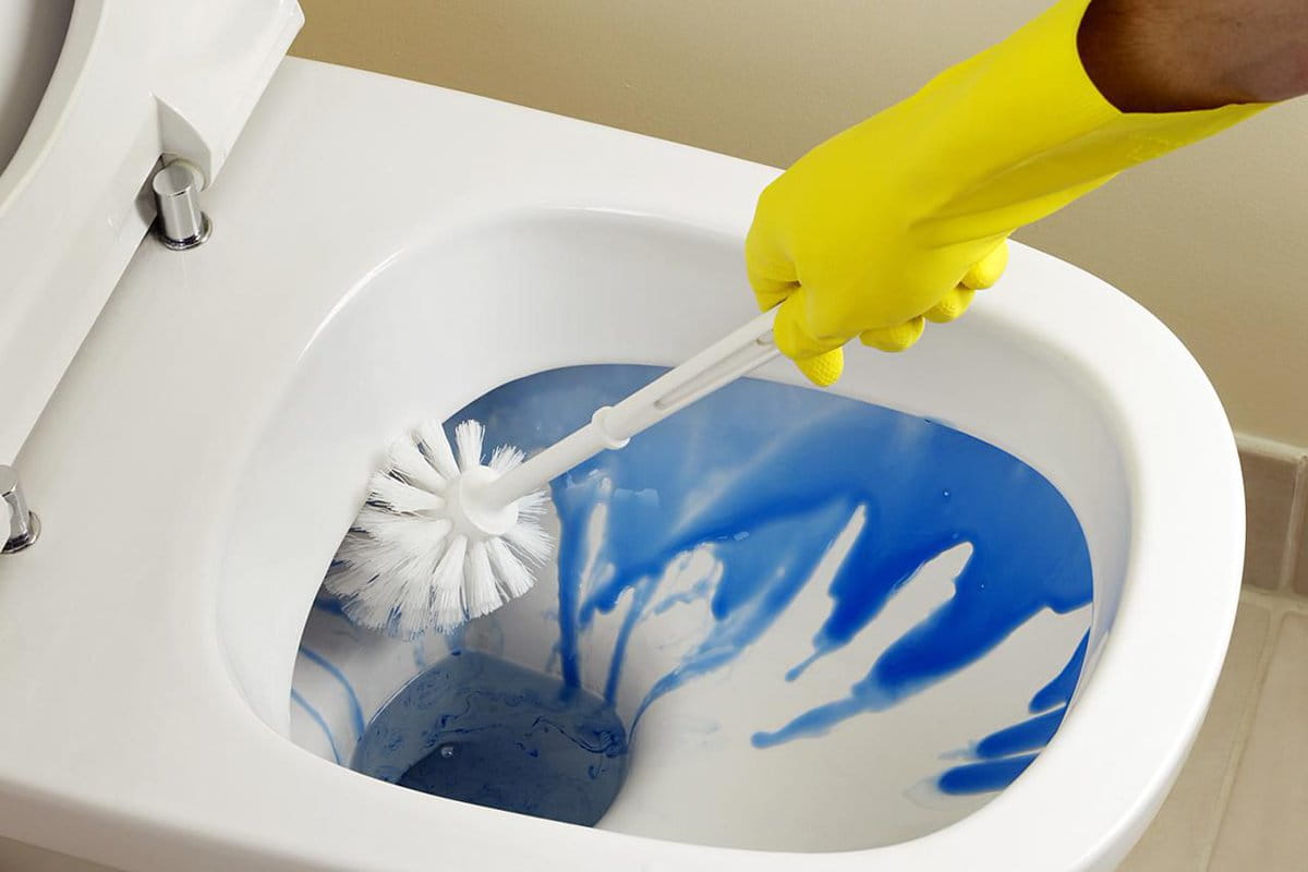  Toilet Cleaning Liquid purchase price + Properties, disadvantages and advantages 