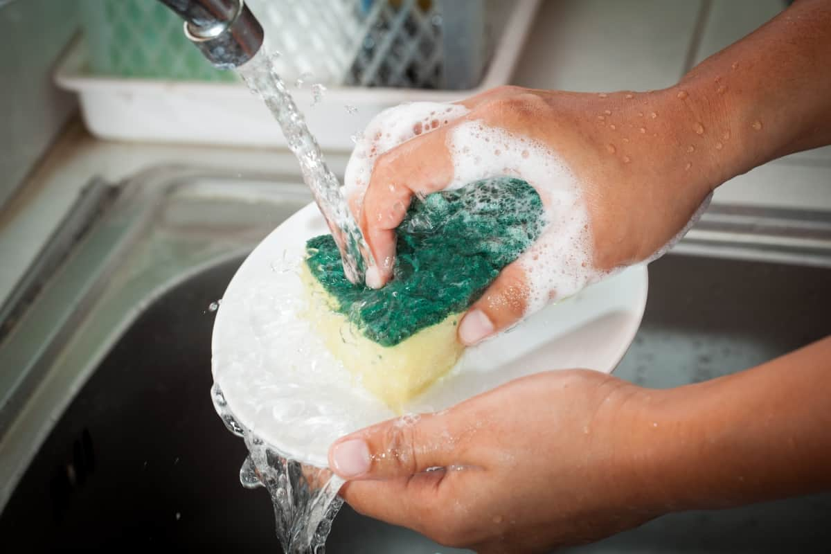  Check sunlight dishwashing liquid ingredients before buying 