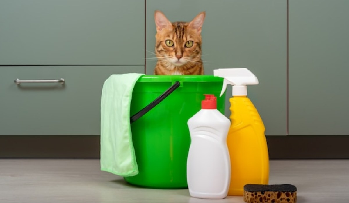  Buy And Price pet-safe laundry washing detergent 