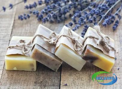 organic soap diy purchase price + user guide