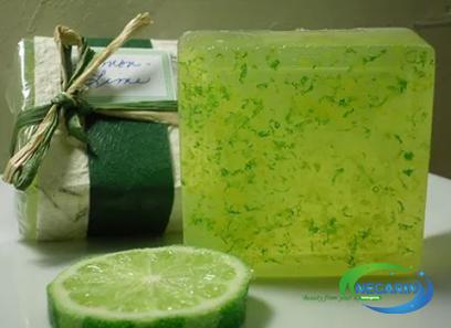 diy organic soap purchase price + user guide